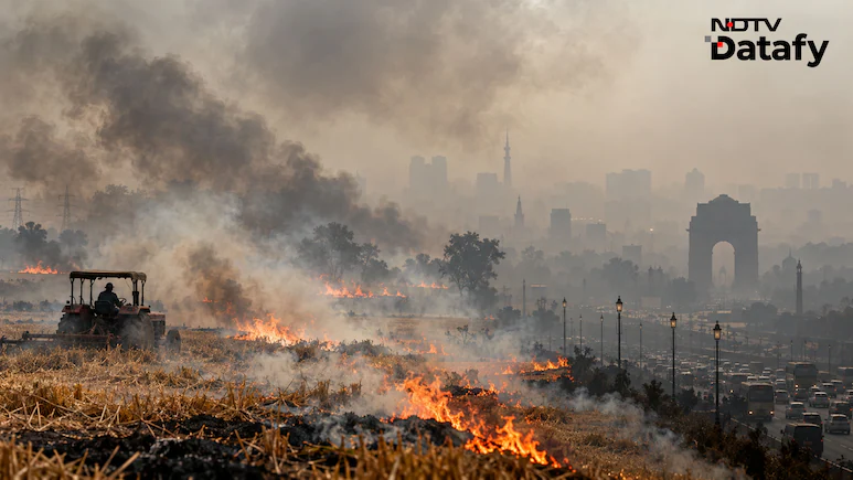 How Much Do They Add To Delhi's Pollution? — Farm Fires Are Rising