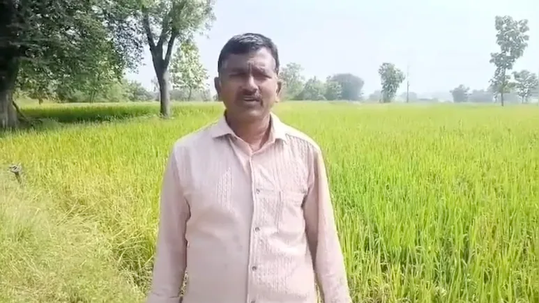Alleged power shortages and persistent pest attacks have pushed a farmer in in Telangana's