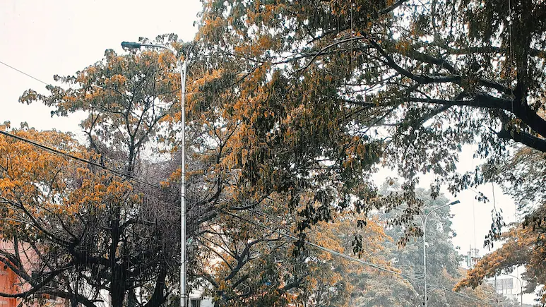 Met Department Forecasts Widespread Rain Across North India After Cyclone Arnab — Weather Tomorrow