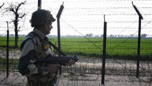 Two Pakistani intruders shot dead by BSF in Punjab's Tarn Taran sector