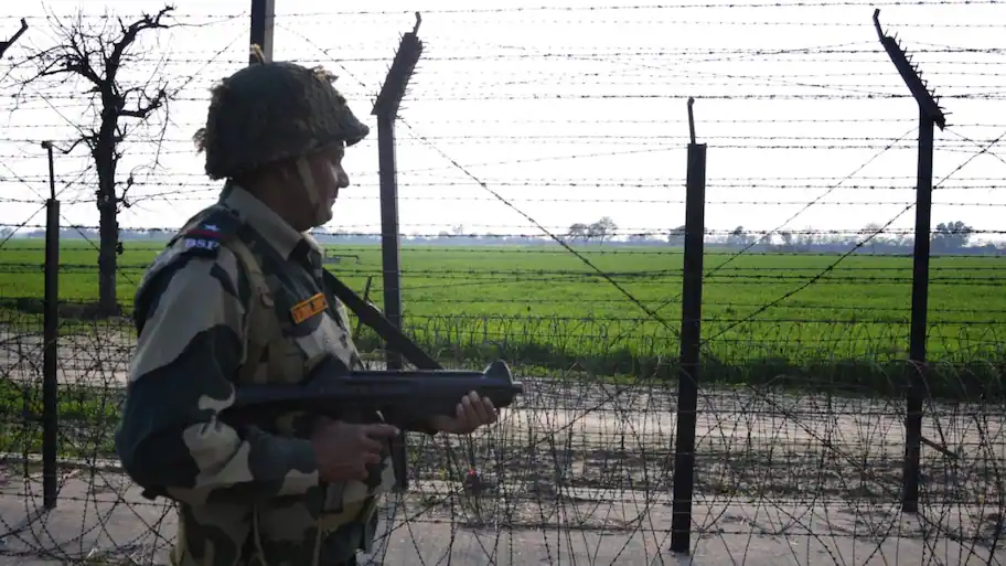 Two Pakistani intruders shot dead by BSF in Punjab's Tarn Taran sector