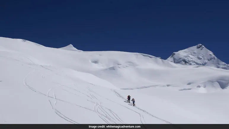 Eight more bodies of those killed in an avalanche on Nepal's Himlung Himal peak were recovered