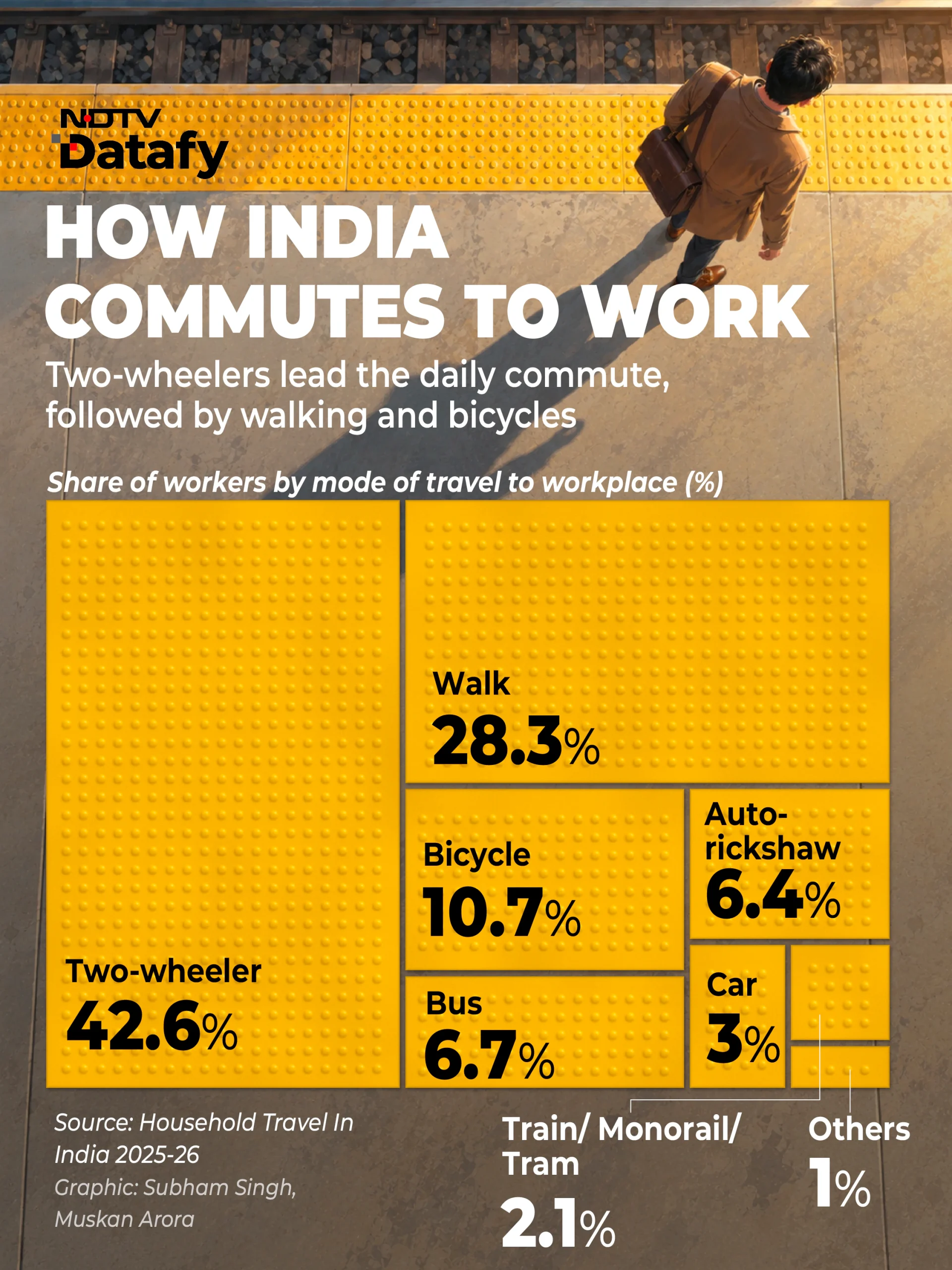 Data from the 'Household Travel in India 2025-26' by the Ministry of Statistics and Programme
