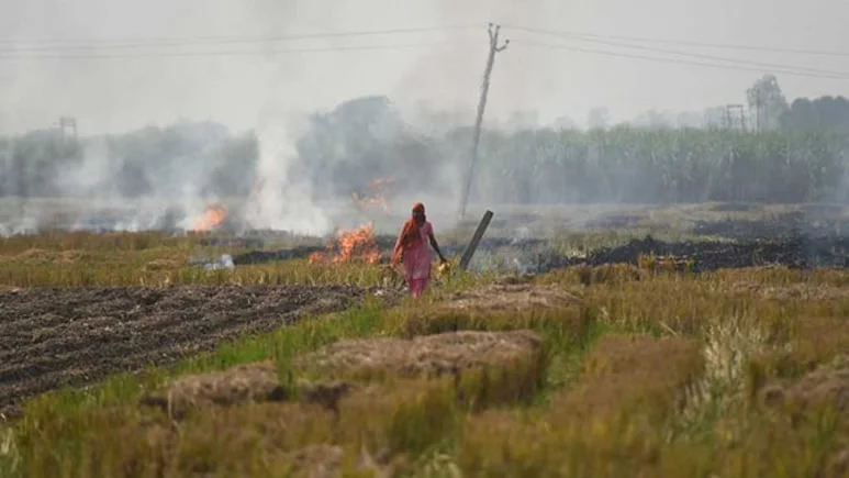 New Delhi: Buying or selling agricultural land in Delhi could receives costlier as
