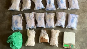 This led to the arrest of Harmanjeet Kaur and the seizure of an additional 7.23 kg of heroin
