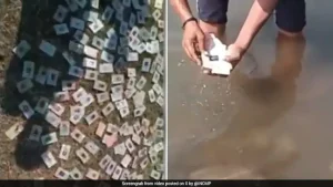 Mandleshwar Sub-Divisional Officer of Police Shweta Shukla said the voter ID cards were found