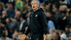 Paris Saint-Germain boss Luis Enrique said the European champions rode their luck to beat