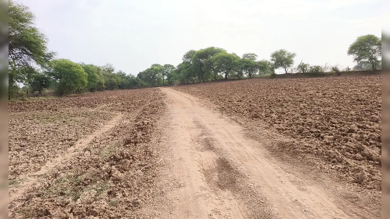 Residents are asking why a bridge built at a cost of nearly Rs 9 crore remains effectively