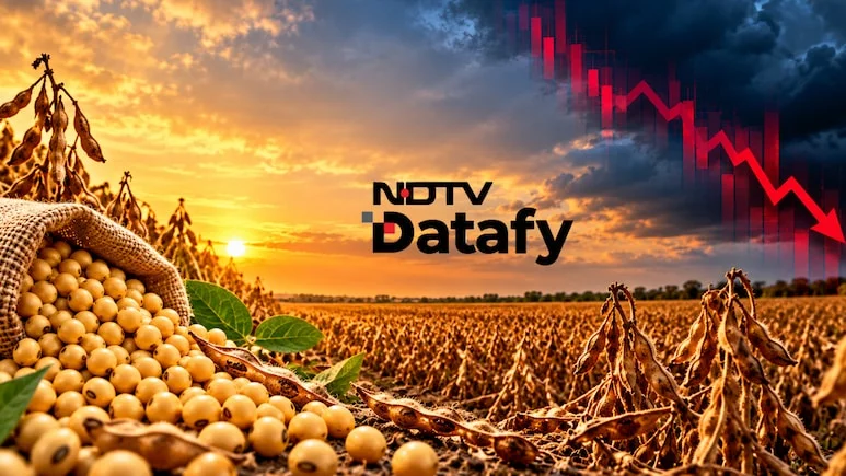 More area was brought under soybean, but this did not translate into higher output