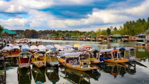J&K High Court bans motorised shikaras, fuel-powered jet skis on Dal Lake