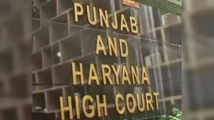 High Court Pulls Up Punjab Government's Top Officer Over Pending Arrears