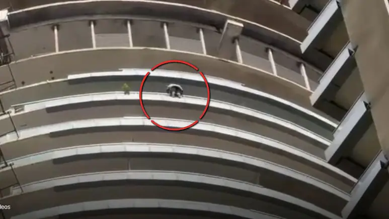 A man jumped from the 43rd floor of the Supernova building in Noida near Delhi