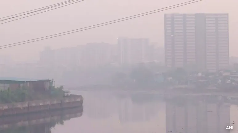 Mumbai's worsening air quality has exposed a wider urban pollution problem, with road dust