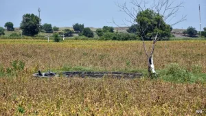 Drought-Hit Maharashtra Farmers To receives Rs 5,000 Aid Before Diwali