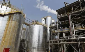 India Bars Sugar-Based Ethanol From 2026-27 Tender For Petrol Blend