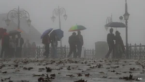 Unseasonal and sudden, the rain is no one-off