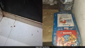 3 Domino's Outlets Lose Licences In Mumbai — Rats, Cockroaches, Spoiled Food
